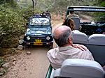 Ranthambore - Nationalpark