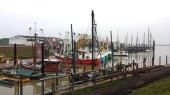 20140228_094513.jpg