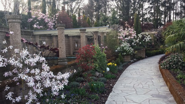 20140402_190323.jpg