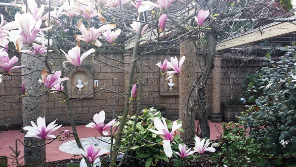 20140402_190353.jpg