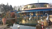 20140402_190131.jpg